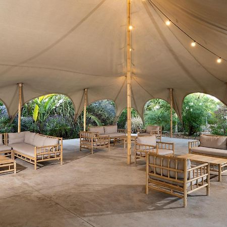 ホテル Layla Glamping ニル・ダウィド エクステリア 写真
