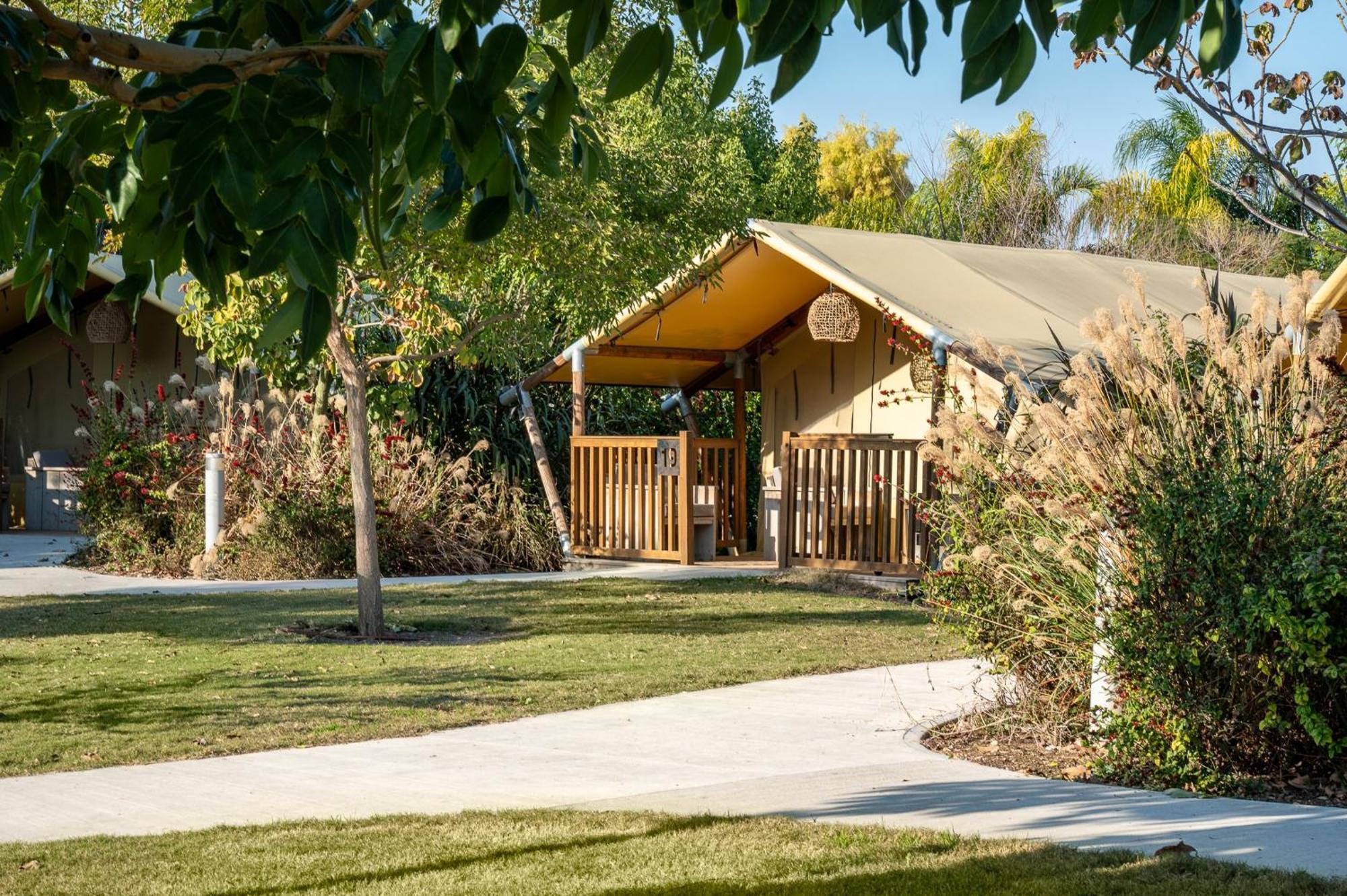 ホテル Layla Glamping ニル・ダウィド エクステリア 写真